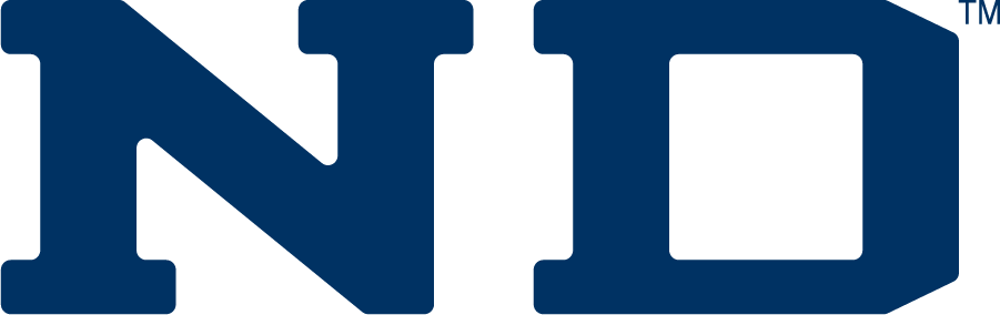 Notre Dame Fighting Irish 1994-2006 Wordmark Logo v2 diy iron on heat transfer